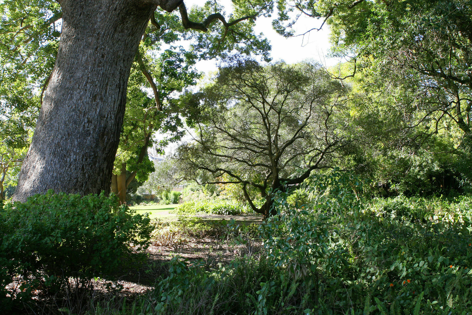 Avemore Wag N Bietjie No 1 Stellenbosch Exterior foto